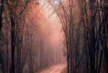 19点21分山东泰山官宣！0比0！韩鹏有话说，崔康熙请给年轻人机会.