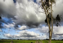 征途国际：[CBA]浙江客场胜新疆 扳平总比分.