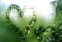 征途国际:浙江:在华世界500强企业体育系列赛乒乓球赛结束.