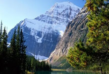 征途国际：中国女足战平加拿大 米利西奇磨合阵容2025-02-21.