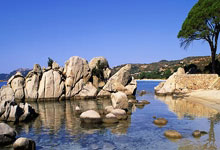 征途国际：WTT重庆冠军赛：王楚钦3比0横扫对手 女单全员晋级8强2025-03-15.